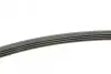 Фото Поліклиновий ремінь (4PK1213) AUDI A4 B6, A4 B7, A6 C5, ALLROAD C5 DACIA SOLENZA PEUGEOT 205, 205 I, 205 II, 309, 309 I, 309 II RENAULT CLIO I, RAPID, SAFRANE I 1.2-2.5D 02.83-05.06 Bosch (1987946007) зображення 3