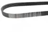Фото Ремень п-клиновый 6PK850 Bosch (1987946011) изображение 3