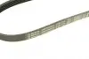 Фото Поліклиновий ремінь (5PK775) CITROEN AX, SAXO, XM MITSUBISHI COLT VI NISSAN MICRA II PEUGEOT 106 I, 106 II, 605 RENAULT LAGUNA I 1.5D-3.0 05.89-06.12 Bosch (1987946021) зображення 5