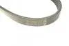 Фото Поліклиновий ремінь (5PK813) ALFA ROMEO 155, 164 BMW 3 (E46), 5 (E39), 7 (E38), X5 (E53) CITROEN BERLINGO, ZX LAND ROVER RANGE ROVER III 1.1-3.0D 03.91-08.12 Bosch (1987946026) зображення 4