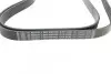 Фото Поликлиновый ремень BOSCH (1987946043) изображение 2