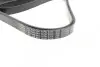 Фото Поликлиновый ремень BOSCH (1987946044) изображение 3