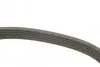 Фото Ремень п-клиновый 6PK1600 Bosch (1987946060) изображение 3