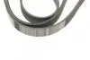 Фото Ремень п-клиновый 6PK1600 Bosch (1987946060) изображение 4