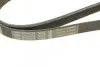 Фото Поліклиновий ремінь (5PK1190) BMW 7 (E32), 8 (E31) FIAT 500X, DOBLO, PALIO, SIENA, STRADA, TIPO JEEP RENEGADE LAND ROVER FREELANDER I MITSUBISHI COLT VI, LANCER VIII 1.0-5.6 09.87 Bosch (1987946061) зображення 4