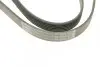 Фото Поліклиновий ремінь (6PK1325) ALFA ROMEO MITO AUDI 100 C4 FIAT 500L, 500X, FIORINO, GRANDE PUNTO, LINEA, PUNTO, PUNTO EVO, QUBO, TIPO MAZDA 3, 5 OPEL CORSA D, MERIVA B 1.3D-2.5D 12.90 Bosch (1987946078) зображення 5