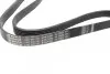 Фото Поліклиновий ремінь (6PK1250) VOLVO 850, 960, 960 II, C70 I, S70, S90 I, V70 I, V90 I CHEVROLET CRUZE, TRAX CHRYSLER SEBRING, VOYAGER IV DODGE CARAVAN, STRATUS II FORD C-MAX II 1.0-2.9 08.90 Bosch (1987946087) зображення 2