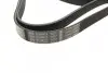 Фото Ремень генератора VW Golf/BMW/Ford/Opel - Ремень генератора VW Golf/BMW/Ford/Opel. Bosch (1987946099) изображение 2