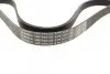 Фото Поліклиновий ремінь (6PK1270) FIAT BRAVO II, STILO FORD C-MAX II, FOCUS III, GALAXY III, GRAND C-MAX, KUGA II, MONDEO V, S-MAX FORD USA EDGE 1.9D/2.0D 10.01 Bosch (1987946103) зображення 2
