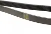 Фото Поліклиновий ремінь (6PK1270) FIAT BRAVO II, STILO FORD C-MAX II, FOCUS III, GALAXY III, GRAND C-MAX, KUGA II, MONDEO V, S-MAX FORD USA EDGE 1.9D/2.0D 10.01 Bosch (1987946103) зображення 3