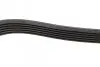 Фото Поліклиновий ремінь (6PK1270) FIAT BRAVO II, STILO FORD C-MAX II, FOCUS III, GALAXY III, GRAND C-MAX, KUGA II, MONDEO V, S-MAX FORD USA EDGE 1.9D/2.0D 10.01 Bosch (1987946103) зображення 4