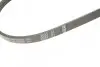 Фото Поліклиновий ремінь (4PK1022) FIAT DOBLO, FIORINO, LINEA, PALIO, QUBO, SIENA, STRADA 1.3D 06.03 Bosch (1987946124) зображення 5