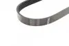 Фото Поліклиновий ремінь (6PK842) AUDI A1, A3, TT SEAT ALTEA, ALTEA XL, IBIZA IV, IBIZA IV SC, IBIZA IV ST, LEON, TOLEDO III, TOLEDO IV SKODA FABIA II, FABIA II PRAKTIK 1.2D-2.0D 05.03-09.20 Bosch (1987946138) зображення 2