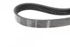Фото Поліклиновий ремінь (6PK1029, кондиціонер приводний) FORD B-MAX, FIESTA, FIESTA VI, MONDEO IV 1.25-1.6 03.07 Bosch (1987946143) зображення 3