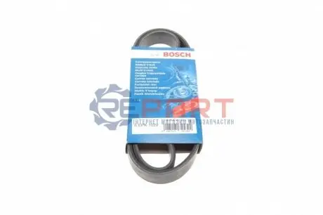 Поліклиновий ремінь (6PK1029, кондиціонер приводний) FORD B-MAX, FIESTA, FIESTA VI, MONDEO IV 1.25-1.6 03.07 Bosch 1987946143 Купити в Україні