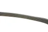 Фото Поліклиновий ремінь (6PK701) SEAT IBIZA IV, IBIZA IV SC, IBIZA IV ST, MII, TOLEDO IV SKODA CITIGO, FABIA III, FABIA III PRAKTIK, RAPID VW JETTA IV, LOAD UP!, POLO 1.0/1.0CNG/1.6 08.11-11.23 Bosch (1987946152) зображення 2