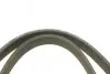 Фото Поліклиновий ремінь (6PK1195) AUDI A3, TT FORD GALAXY I, GALAXY MK I SEAT ALHAMBRA, CORDOBA, CORDOBA VARIO, IBIZA II, LEON, TOLEDO II SKODA OCTAVIA I VW BORA, BORA I 1.6-2.0LPG 03.95-08.15 Bosch (1987946200) зображення 2