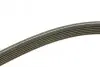 Фото Поліклиновий ремінь (6PK1195) AUDI A3, TT FORD GALAXY I, GALAXY MK I SEAT ALHAMBRA, CORDOBA, CORDOBA VARIO, IBIZA II, LEON, TOLEDO II SKODA OCTAVIA I VW BORA, BORA I 1.6-2.0LPG 03.95-08.15 Bosch (1987946200) зображення 3