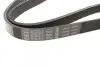 Фото Поліклиновий ремінь (6PK1050, кондиціонер приводний) AUDI A3 CITROEN C2, C2 ENTERPRISE, C3 I, C3 II, C3 PLURIEL, C4, C4 I PEUGEOT 1007, 207, 307 SEAT ALTEA, ALTEA XL, LEON 1.1-2.5 10.86 Bosch (1987946240) зображення 2