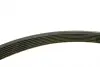 Фото Поліклиновий ремінь (7PK1035) BMW 7 (E38), 8 (E31) INFINITI JX, QX60 NISSAN ALTIMA, ELGRAND, MURANO III, QUEST RENAULT CLIO III, CLIO IV, MODUS, TWINGO II, WIND 1.2-5.4 09.94 Bosch (1987946248) зображення 4