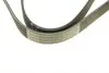 Фото Поліклиновий ремінь (7PK1035) BMW 7 (E38), 8 (E31) INFINITI JX, QX60 NISSAN ALTIMA, ELGRAND, MURANO III, QUEST RENAULT CLIO III, CLIO IV, MODUS, TWINGO II, WIND 1.2-5.4 09.94 Bosch (1987946248) зображення 5