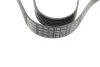 Фото Поліклиновий ремінь (7PK1370) BMW 7 (F01, F02, F03, F04), X5 (E70) TOYOTA AURIS, AVENSIS, COROLLA, RAV 4 III, RAV 4 IV, VERSO 2.0D-4.4H 11.05-09.19 Bosch (1987946252) зображення 2
