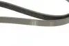 Фото Поліклиновий ремінь (6PK1720) CHEVROLET CAPTIVA DODGE CALIBER FIAT FREEMONT FORD FOCUS I, MONDEO I, MONDEO II, TOURNEO CONNECT, TRANSIT CONNECT JEEP COMPASS, PATRIOT 1.6-2.4LPG 01.93 Bosch (1987946295) зображення 5