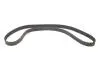 Фото Комплект ГРМ (ремінь + ролик + водяний насос) CITROEN C4, C4 GRAND PICASSO I, C4 I, C4 PICASSO I, C5 II, C5 III, C8, JUMPY II PEUGEOT 307, 308, 308 I, 407, 807, EXPERT 1.8-2.0ALK 06.04 Bosch (1987946442) зображення 16