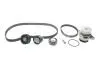 Комплект ременя ГРМ VW Caddy III/Golf 1.4 97-13/Skoda Fabia/Octavia/Roomster 1.4 00-15 заміна для K035565XS Bosch 1987946464 Купити в Україні