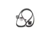 Фото Комплект ГРМ (ремінь + ролик) HYUNDAI TERRACAN KIA BONGO, CARNIVAL I, CARNIVAL II, CARNIVAL III, K2900 2.9D 08.99 Bosch (1987946581) зображення 2