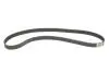 Фото Комплект ГРМ (ремінь + ролик + водяний насос) CHEVROLET CAPTIVA OPEL ANTARA A, FRONTERA A, OMEGA B, SINTRA 2.2/2.4/2.4LPG 03.95 Bosch (1987946901) зображення 14