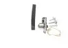 Фото Комплект ГРМ + помпа Renault Kangoo 1.5dCi 01- (123x27) Bosch (1987946940) зображення 3