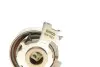 Фото Комплект ГРМ (ремінь + ролик + водяний насос) OPEL ASTRA F, ASTRA F CLASSIC, CORSA B, TIGRA, VECTRA B 1.4/1.6 03.93-01.05 Bosch (1 987 946 991) зображення 19