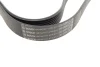 Ремінь генератора MB Atego (OM906/OM904) 98- (8PK2011) Bosch (1987947077) зображення 3