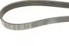 Фото Поліклиновий ремінь (6PK1360, кондиціонер приводний) CHEVROLET AVEO FIAT BRAVO II, SCUDO, STILO LAND ROVER DISCOVERY I, RANGE ROVER SPORT I MITSUBISHI PAJERO III OPEL ASTRA J 1.3D-3.6D 06.89 Bosch (1987947554) зображення 4