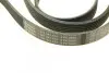 Поліклиновий ремінь (6PK2565) CITROEN C-CROSSER, C-CROSSER ENTERPRISE LAND ROVER RANGE ROVER III, RANGE ROVER SPORT I MITSUBISHI ASX, LANCER VIII, OUTLANDER II PEUGEOT 4007 1.8-4.4 02.05 Bosch (1987947574) зображення 5