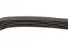 Фото Поліклиновий ремінь (6PK1020) MERCEDES 190 (W201), T1 (601), T1 (601, 611), T1 (602), T1 (B601), T1 (B602), T1/TN, T2/LN1, O 100 CITROEN C3 PICASSO LADA KALINA NISSAN 100NX 1.4-3.0 08.83 Bosch (1987947817) зображення 3