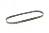 Фото Поліклиновий ремінь (5PK850) VOLVO 340-360, C30, C70 II, S40 II, V50 CITROEN XM FIAT REGATA, RITMO FORD FOCUS II, KUGA I HONDA JAZZ II LANCIA DELTA I, PRISMA 1.2-3.0 10.83-06.13 Bosch (1 987 947 847) зображення 2