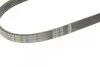 Фото Поліклиновий ремінь (5PK850) VOLVO 340-360, C30, C70 II, S40 II, V50 CITROEN XM FIAT REGATA, RITMO FORD FOCUS II, KUGA I HONDA JAZZ II LANCIA DELTA I, PRISMA 1.2-3.0 10.83-06.13 Bosch (1 987 947 847) зображення 4