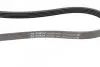 Фото Поліклиновий ремінь (5PK955) FIAT PALIO, SIENA FORD FOCUS II HONDA ACCORD IV, ACCORD V, JAZZ II MAZDA 626 II, 626 III MITSUBISHI COLT V, LANCER CARGO, LANCER VI, LANCER VII 1.3-3.0 11.82-12.13 Bosch (1987947849) зображення 3