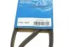 Фото Поліклиновий ремінь (5PK1060) AUDI A3, Q3, TT FIAT CROMA KIA CLARUS MAZDA 626 II, 626 III MITSUBISHI CARISMA, COLT V, GALANT VII, LANCER CARGO, LANCER VI, LANCER VII 1.3-2.5 11.82-10.18 Bosch (1987947850) зображення 6