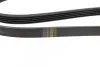 Фото Поліклиновий ремінь (5PK1390) CITROEN XM HYUNDAI H-1, H-1 / STAREX, HIGHWAY, SANTA FÉ I, SONATA IV, TRAJET KIA MAGENTIS I, SORENTO I MITSUBISHI SPACE, SPACE RUNNER 2.0/2.4/3.0 05.89-06.09 Bosch (1987947864) зображення 3
