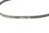 Фото Поліклиновий ремінь (3PK915) FIAT BRAVA, BRAVO I, DOBLO, FIORINO, LINEA, MAREA, PALIO, PUNTO, QUBO, SIENA, STRADA, TIPO LANCIA Y NISSAN MICRA I 1.1-1.6 07.86 Bosch (1 987 947 886) зображення 6
