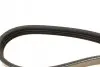 Фото Поліклиновий ремінь (4PK800) CITROEN C25 FIAT CROMA, SEDICI HONDA CITY III, CIVIC V, CIVIC VI, CRX III, DOMANI, HR-V, INTEGRA, LOGO KIA PRIDE LANCIA THEMA NISSAN 100NX, ALMERA I 1.0-3.0 07.87 Bosch (1 987 947 893) зображення 3