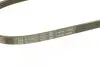 Ремень генератора Nissan Almera/Primera/Sunny 1.0-5.0 82- - Ремень генератора Nissan Almera/Primera/Sunny 1.0-5.0 82- Bosch (1 987 947 894) изображение 4