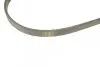 Фото Поліклиновий ремінь (4PK920) MAZDA 323 F VI, 323 S VI, 626 IV, 626 V, PREMACY, XEDOS 9 NISSAN BLUEBIRD TOYOTA ALLION I, CHASER, ECHO, HILUX IV, STARLET, SUPRA 1.3-3.0 01.84-01.17 Bosch (1987947902) зображення 4
