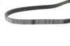 Фото Поліклиновий ремінь (5PK884) VOLVO 340-360, V50 BMW 3 (E36) CITROEN BERLINGO, XSARA, ZX FIAT FIORINO, UNO FORD FIESTA, FIESTA IV, FOCUS II, MONDEO I, MONDEO II HONDA JAZZ II 1.0-4.0 10.82 Bosch (1987947912) зображення 2