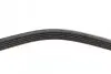 Фото Поліклиновий ремінь (5PK884) VOLVO 340-360, V50 BMW 3 (E36) CITROEN BERLINGO, XSARA, ZX FIAT FIORINO, UNO FORD FIESTA, FIESTA IV, FOCUS II, MONDEO I, MONDEO II HONDA JAZZ II 1.0-4.0 10.82 Bosch (1987947912) зображення 3