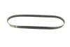 Фото Поліклиновий ремінь (5PK890) VOLVO C30, C70 II, S40 II, V40, V50 BMW 3 (E36), 5 (E34), 5 (E39), 7 (E38) FIAT CROMA FORD FOCUS II, KUGA I HONDA JAZZ II HYUNDAI I20 ACTIVE, I20 II 1.1-9.8D 10.84 Bosch (1987947913) зображення 5