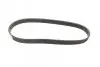 Фото Поліклиновий ремінь (6PK737) AUDI A1, A2, A3 FIAT DUCATO, SCUDO PEUGEOT 306, 307, 405 II, EXPERT, PARTNER SEAT ALTEA, ALTEA XL, CORDOBA, IBIZA II, IBIZA III, IBIZA IV, IBIZA IV SC 1.0-1.9D 10.91 Bosch (1 987 947 932) зображення 5